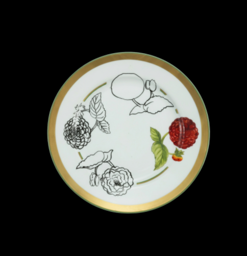 Mamie's Garden Zinnia Dinner Plate — Blooming