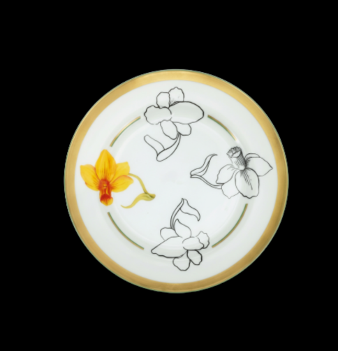 Mamie's Garden Daffodil Dinner Plate — Blooming