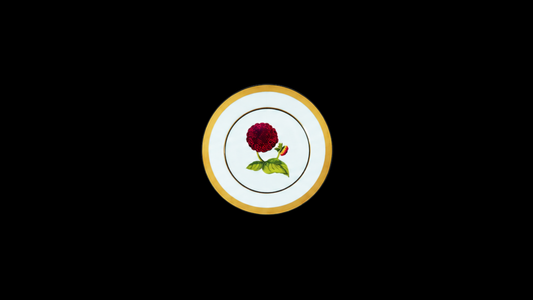 Mamie's Garden Zinnia Dinner Plate — Classic